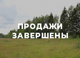 Ромашкино 3