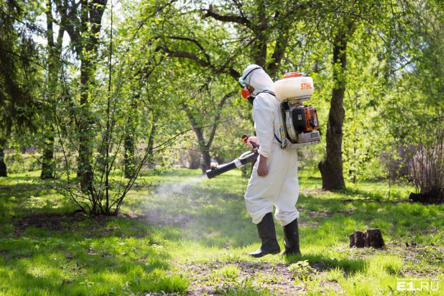 Противоклещевая обработка в коттеджном посёлке «Орлиные холмы»