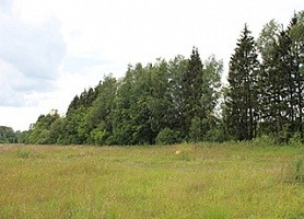 Ромашкино 3
