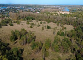 Никитские пруды